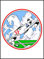 339th Fighter Group badge