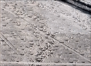 Cadiz aerial 1