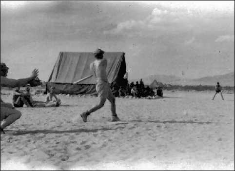 Baseball in the desert